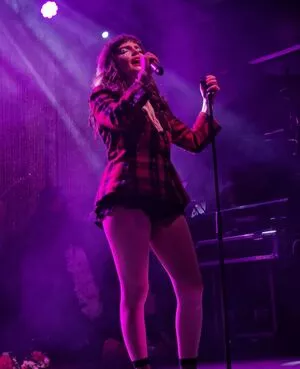 Lauren Mayberry / laurenevemayberry nude photo #0637