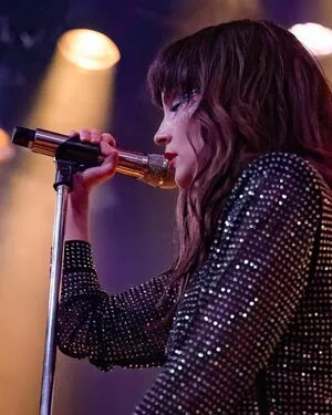 Lauren Mayberry / laurenevemayberry nude photo #0680