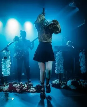 Lauren Mayberry / laurenevemayberry nude photo #0695