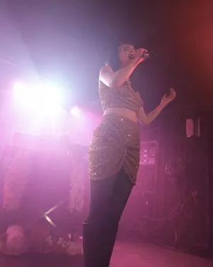 Lauren Mayberry / laurenevemayberry nude photo #0724