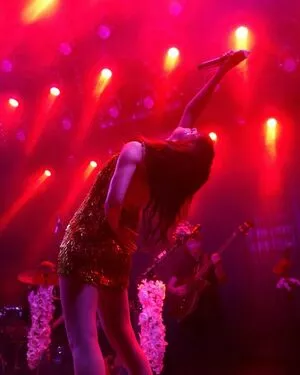 Lauren Mayberry / laurenevemayberry nude photo #0726