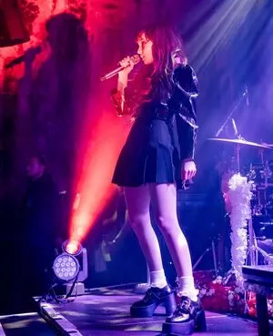 Lauren Mayberry / laurenevemayberry nude photo #0755