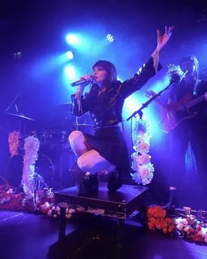 Lauren Mayberry / laurenevemayberry nude photo #0760