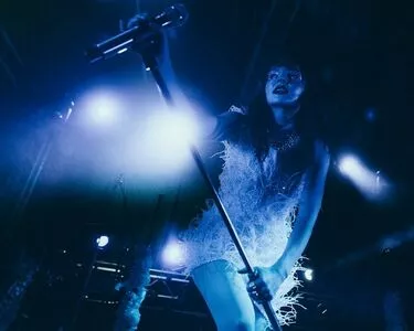 Lauren Mayberry / laurenevemayberry nude photo #0785