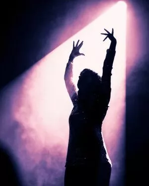 Lauren Mayberry / laurenevemayberry nude photo #0825