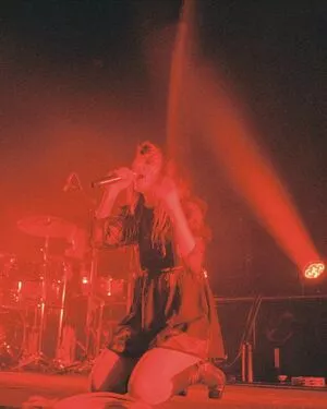 Lauren Mayberry / laurenevemayberry nude photo #0838