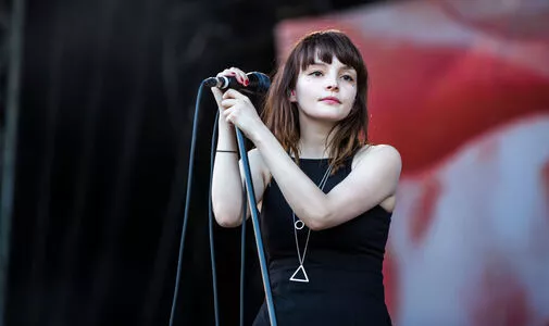 Lauren Mayberry / laurenevemayberry nude photo #0851
