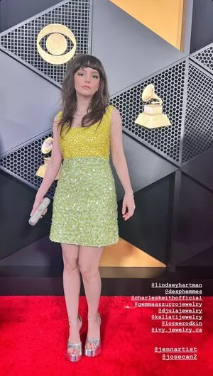 Lauren Mayberry / laurenevemayberry nude photo #0904