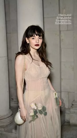 Lauren Mayberry / laurenevemayberry nude photo #0918