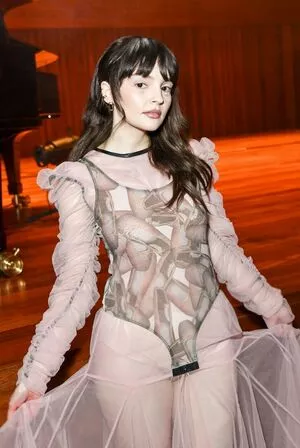 Lauren Mayberry / laurenevemayberry nude photo #0927