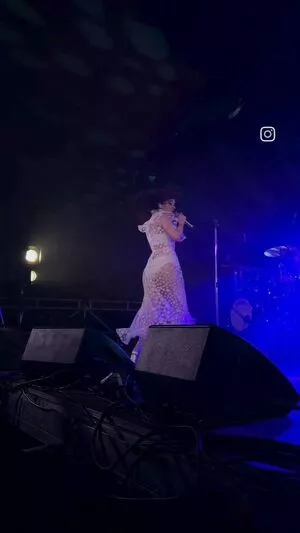 Lauren Mayberry / laurenevemayberry nude photo #0944