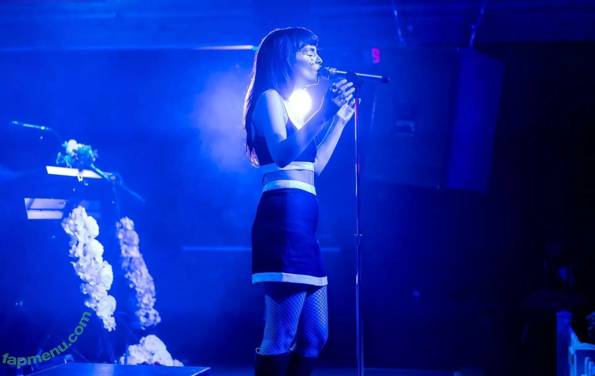 Lauren Mayberry nude photo #0487 (laurenevemayberry)