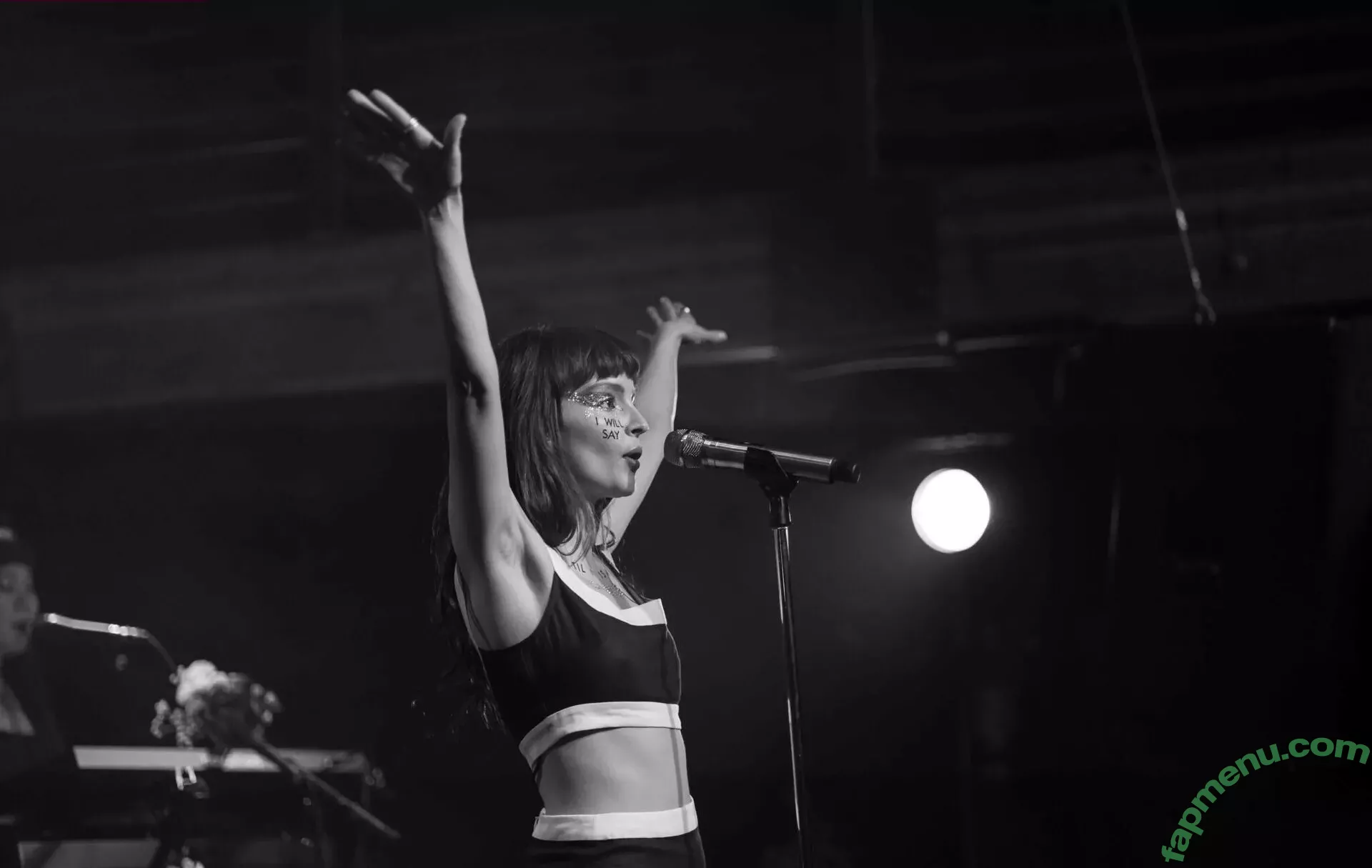 Lauren Mayberry nude photo #0491 (laurenevemayberry)