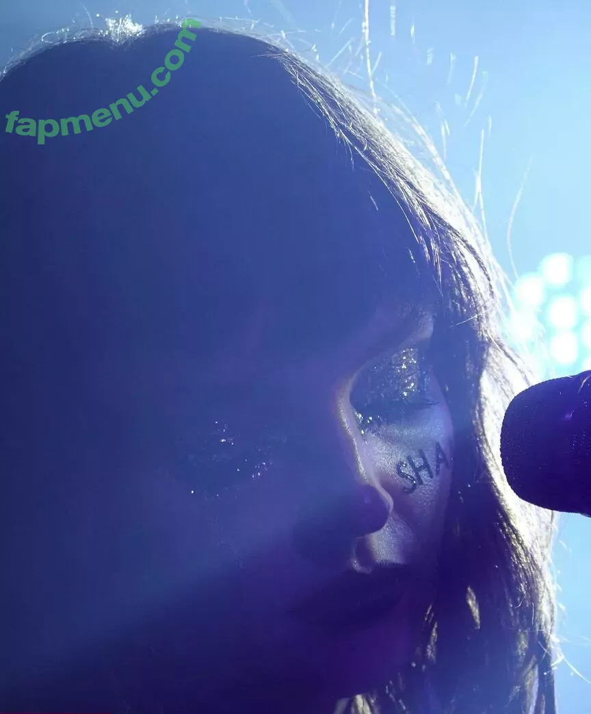 Lauren Mayberry nude photo #0719 (laurenevemayberry)