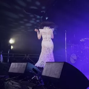 Lauren Mayberry / laurenevemayberry nude photo #1002