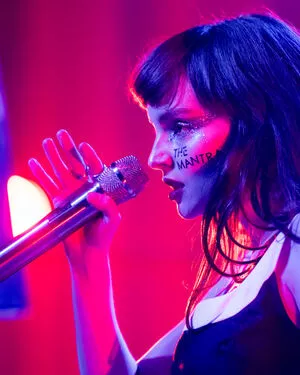 Lauren Mayberry / laurenevemayberry nude photo #1007