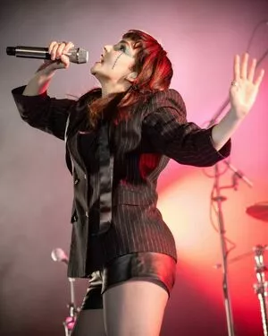 Lauren Mayberry / laurenevemayberry nude photo #1197