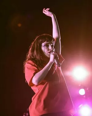 Lauren Mayberry / laurenevemayberry nude photo #1213