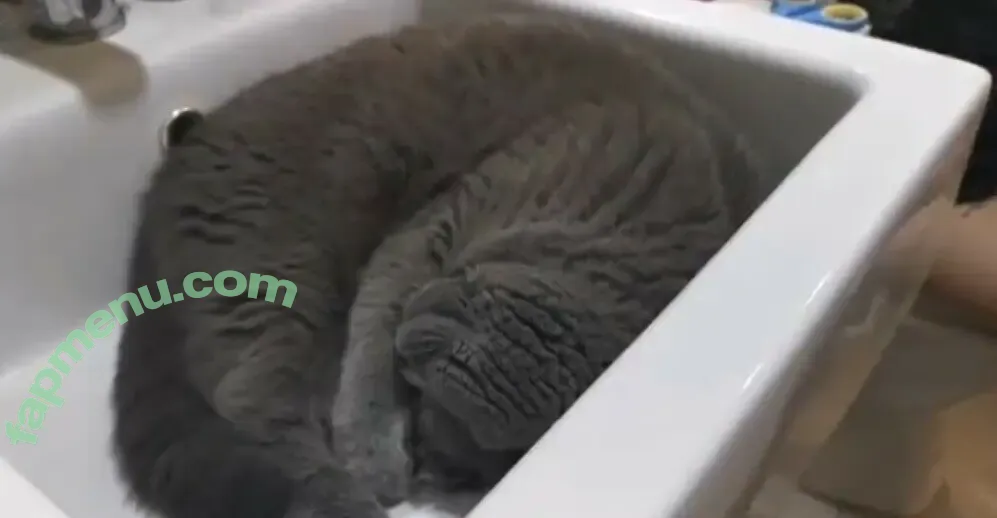 Le Josette nude photo #0701 (lejosette_ / lolita_josette)