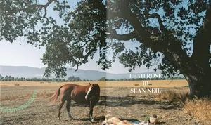 Leah Rose / leaahhrose nude photo #0066