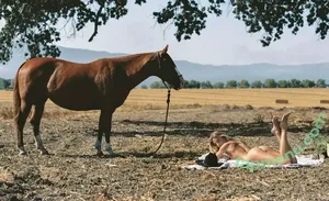 Leah Rose / leaahhrose nude photo #0083