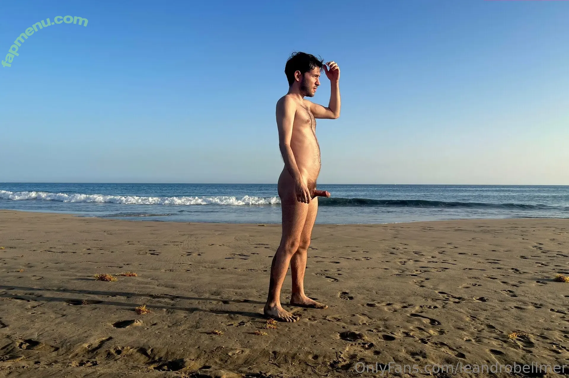 leandrobellmer nude photo #0038 (leandrobellmer)