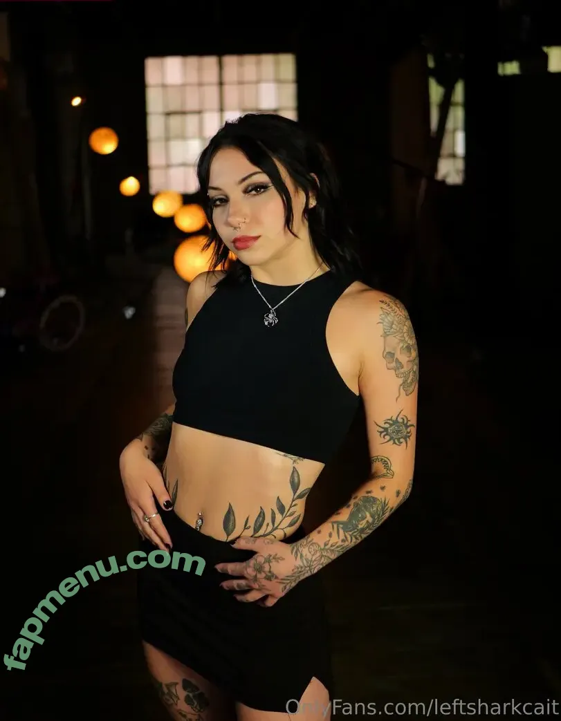 leftsharkcait nude photo #0111 (leftsharkcait)