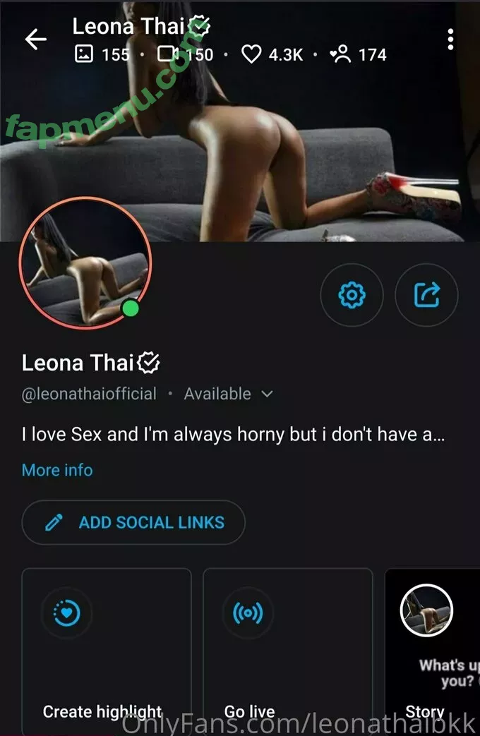 leonathaibkk nude photo #0069 (insta__leona)