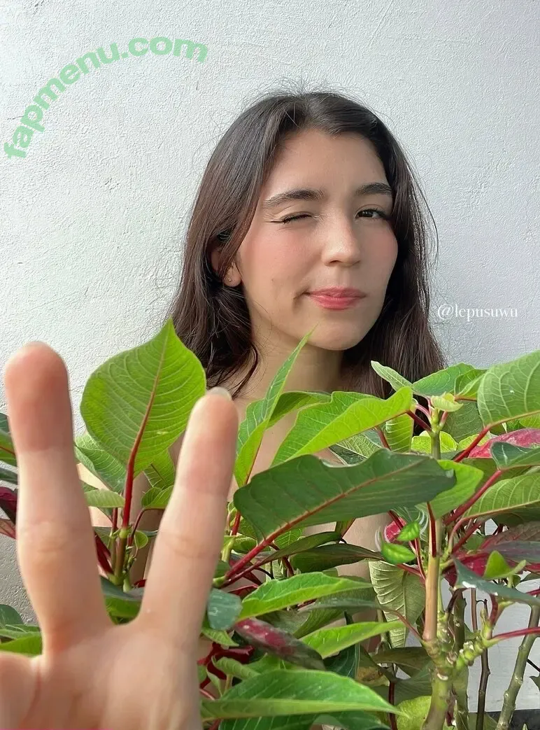 lepusuwu nude photo #0007 (lepusuwu)