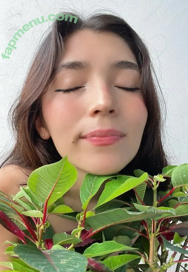 lepusuwu nude photo #0008 (lepusuwu)