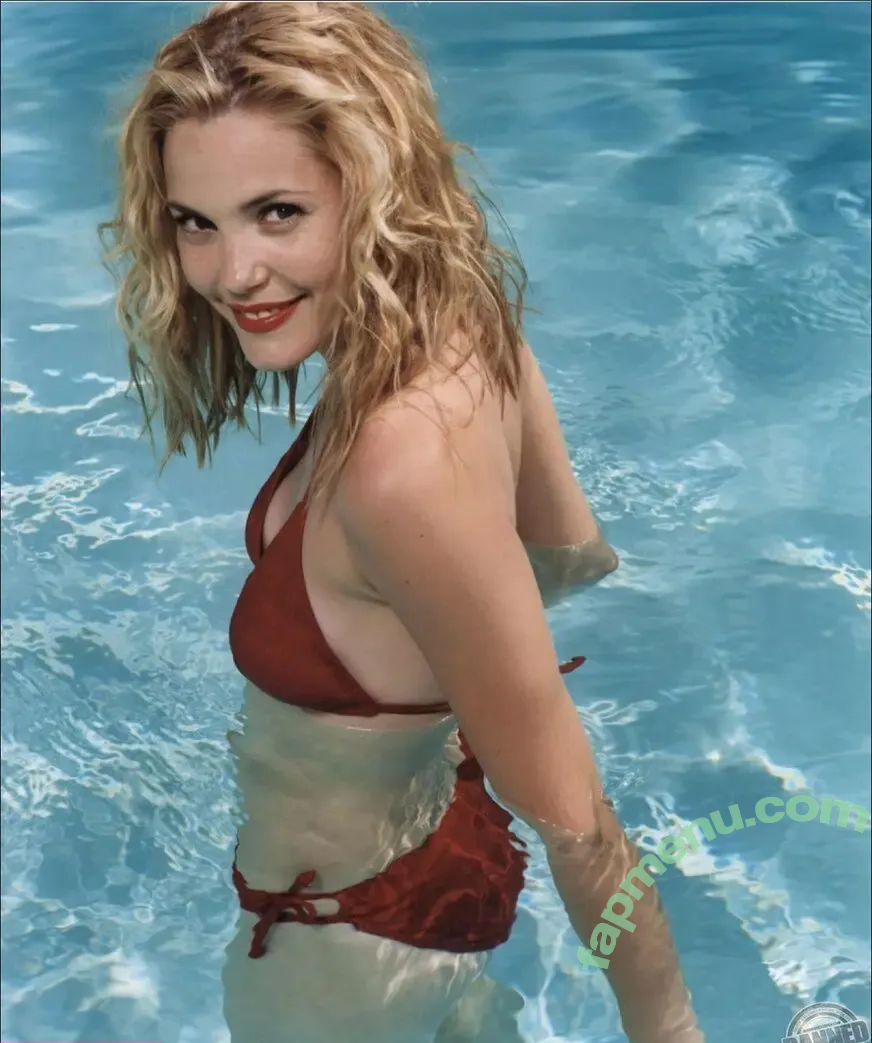 Leslie Bibb nude photo #0094 (mslesliebibb)