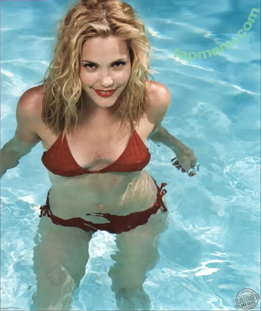 Leslie Bibb nude photo #0096 (mslesliebibb)