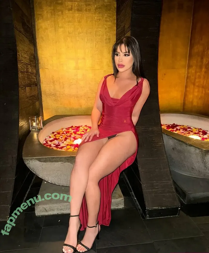 Leslyarizmel Arizmelly nude photo #0014 (leslyarizmel)
