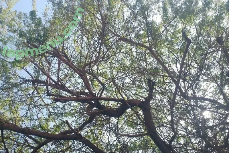 letsgetnakednicole nude photo #0009 (letsgetnakednicole)