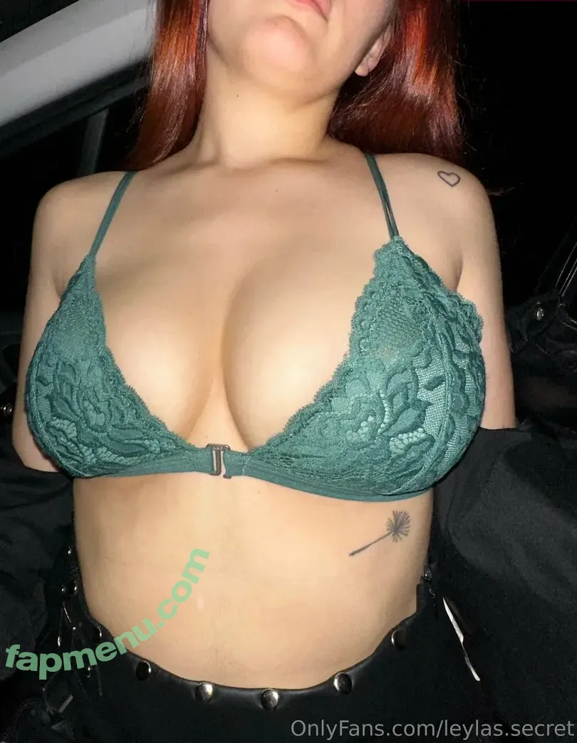 leylas.secret nude photo #0006 (leilas.secret)