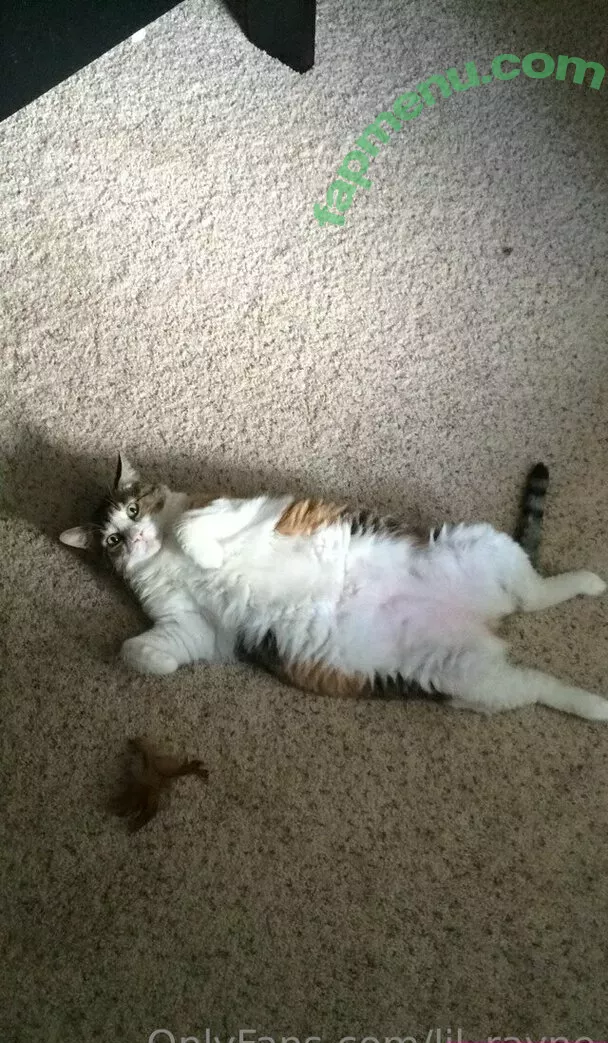 lil_rayne nude photo #0277 (lil_rayne_)