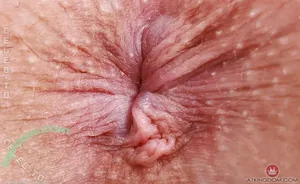 Lilibet Saunders / lilibetsaunders / lilibetsaunders_ / puggie33 nude photo #0086