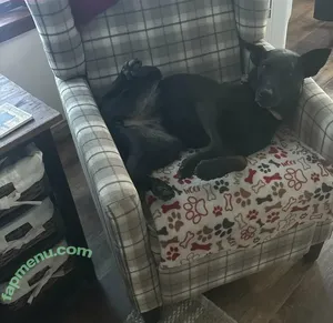 lilrosiedoll / rosiegirllondon nude photo #1024