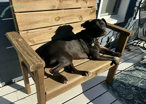 lilrosiedoll / rosiegirllondon nude photo #1059