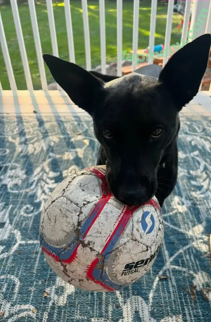 lilrosiedoll nude photo #1017 (rosiegirllondon)