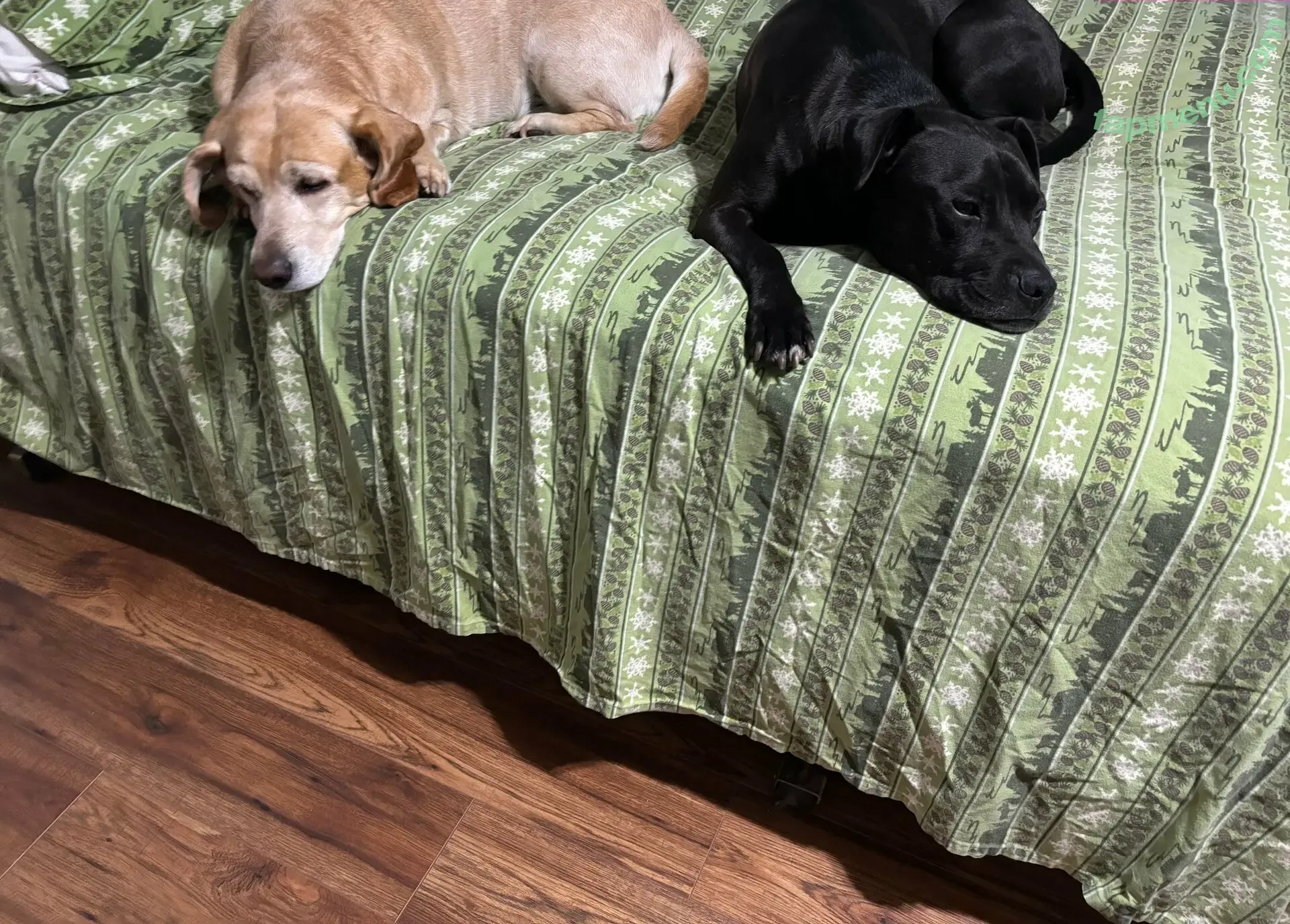 lilrosiedoll nude photo #1032 (rosiegirllondon)