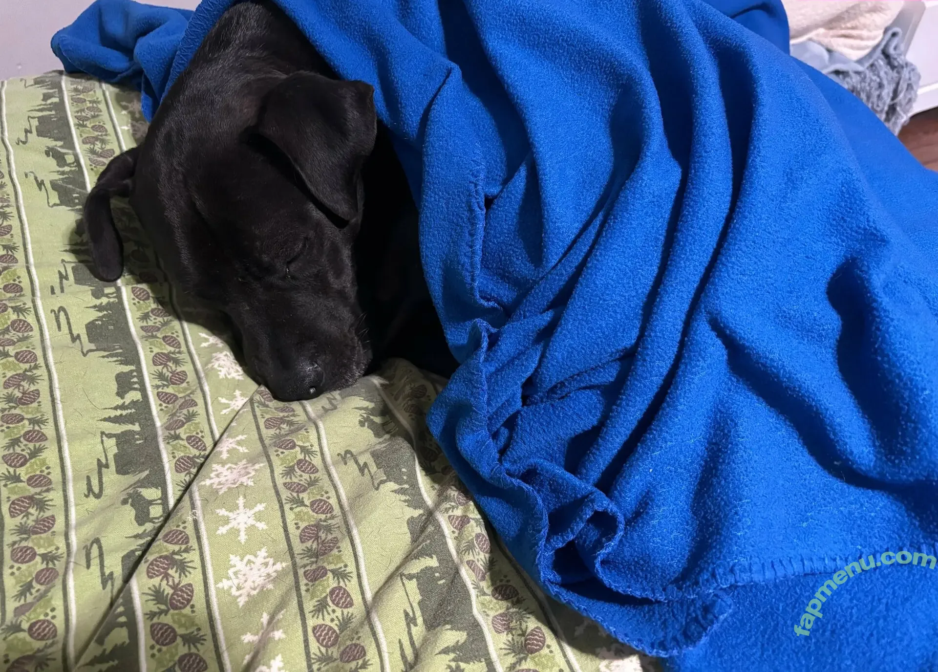 lilrosiedoll nude photo #1039 (rosiegirllondon)