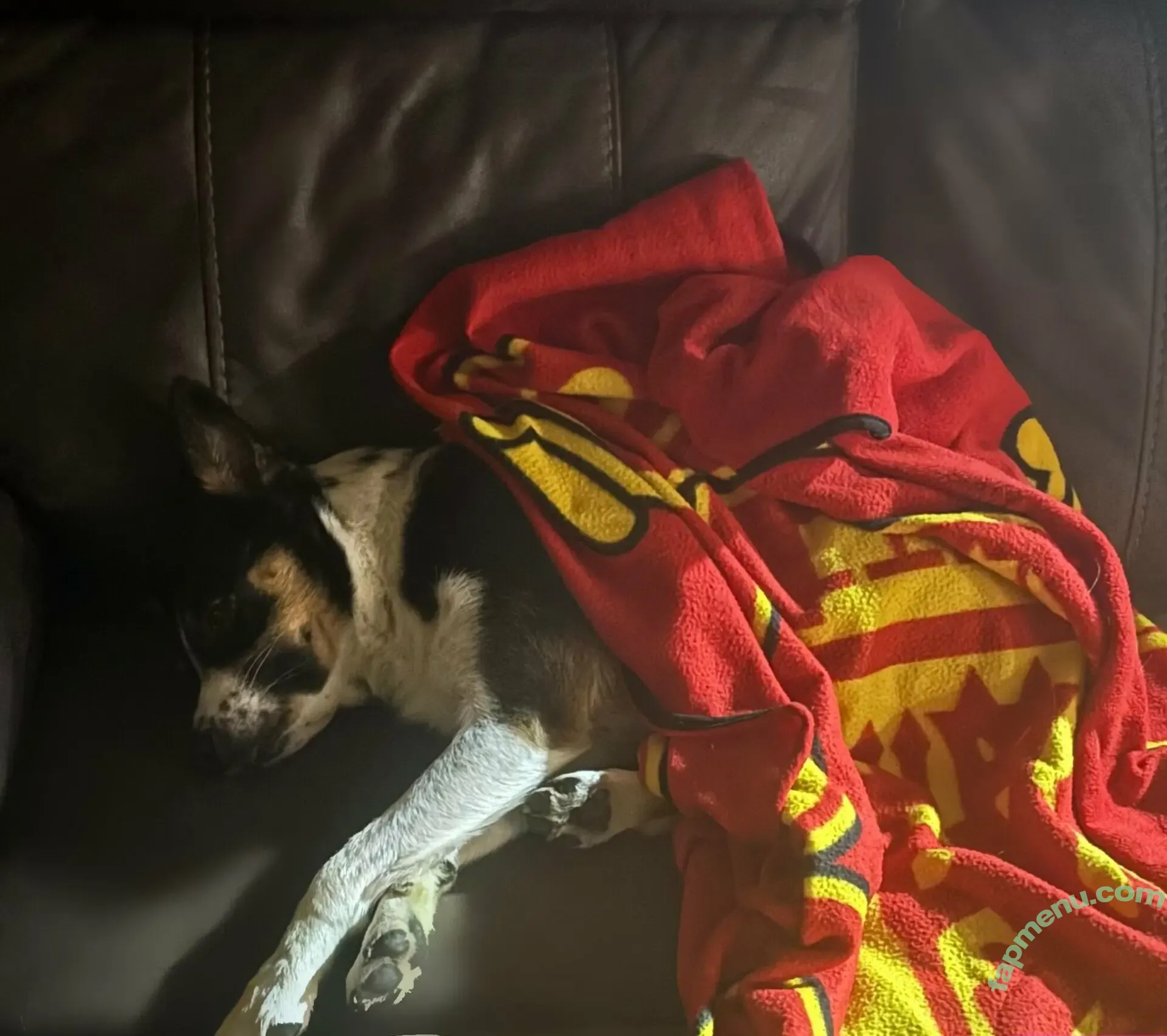 lilrosiedoll nude photo #1065 (rosiegirllondon)