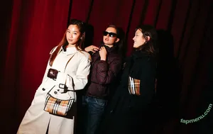 Lilychee / Lily Chee nude photo #2113