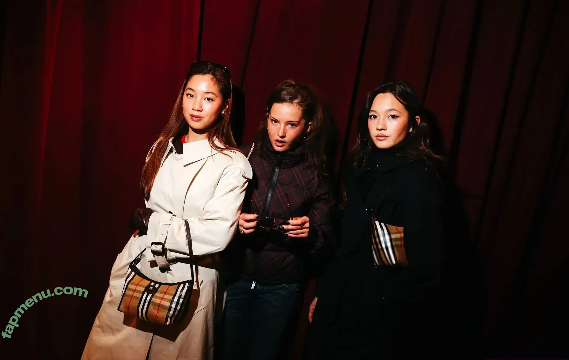 Lilychee nude photo #2111 (Lily Chee)