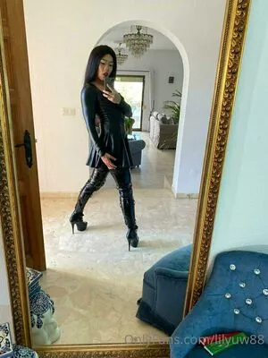 lilyuw88 / ts_lilyuw88 nude photo #0196