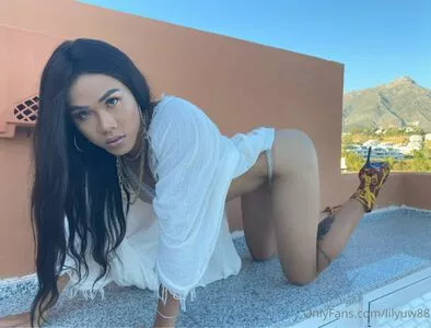 lilyuw88 / ts_lilyuw88 nude photo #0216
