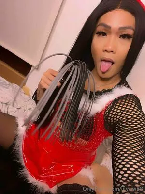 lilyuw88 / ts_lilyuw88 nude photo #0497