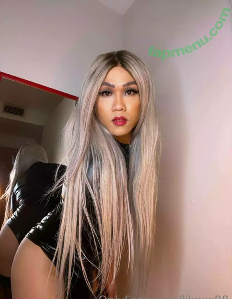 lilyuw88 nude photo #0280 (ts_lilyuw88)