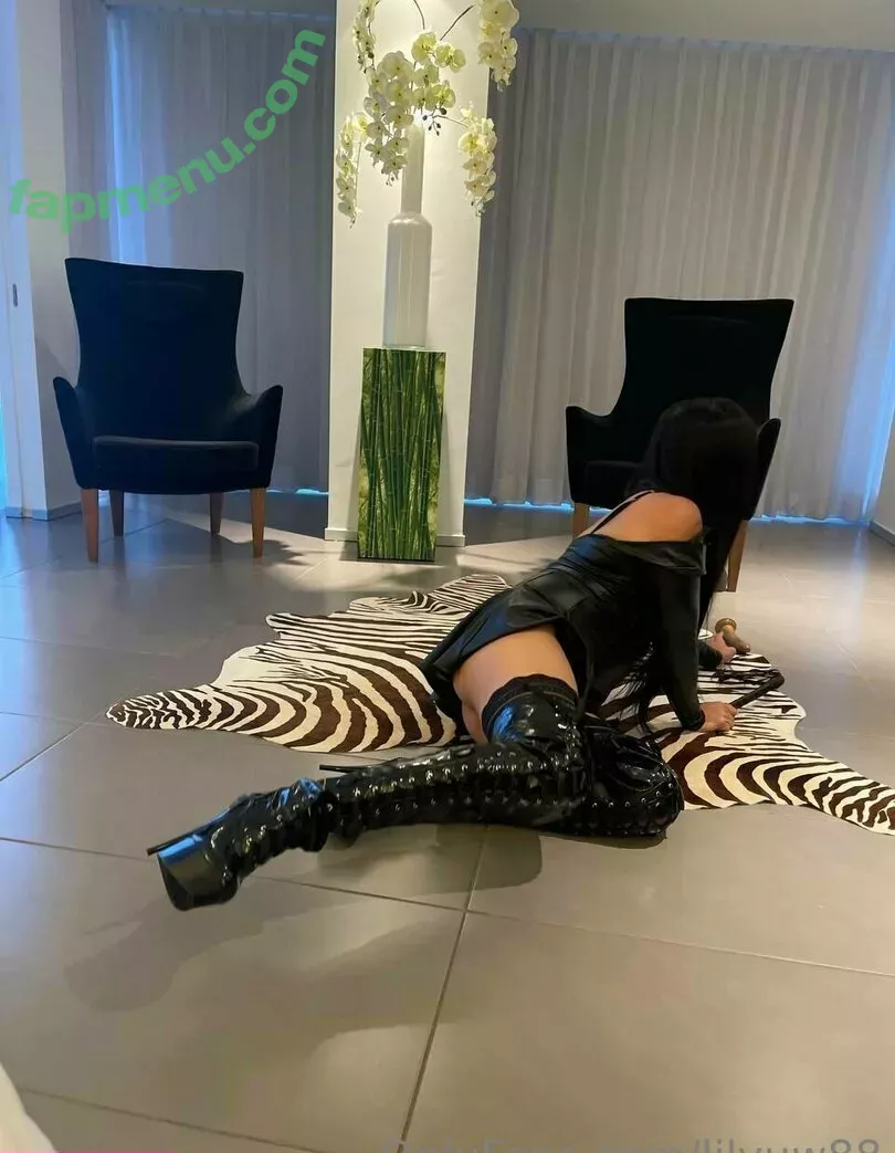 lilyuw88 nude photo #0337 (ts_lilyuw88)